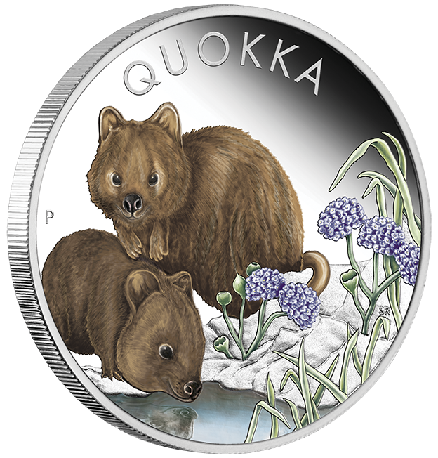 2023 Quokka 1oz Silver Proof Coloured Coin Australian Specialty Coins