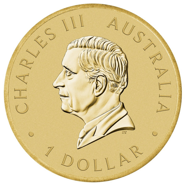 2025 Australian Citizenship $1 Carded Coin