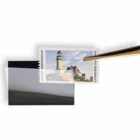 Lighthouse Stamp Tweezers 15cm, Straight with Pointed Tips (PI-51)