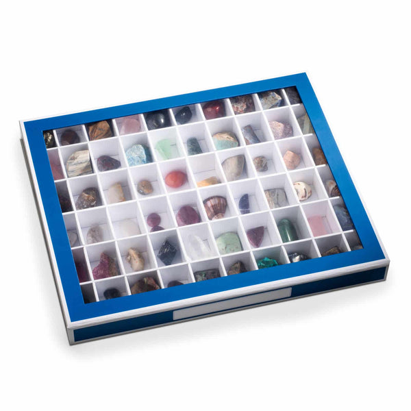 Collection Box K60 with 60 Compartments - Blue