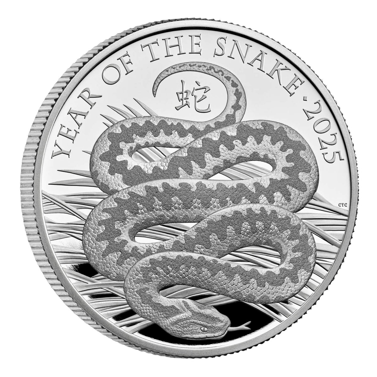 2025 Lunar Year of the Snake UK 1oz Silver Proof Coin Australian
