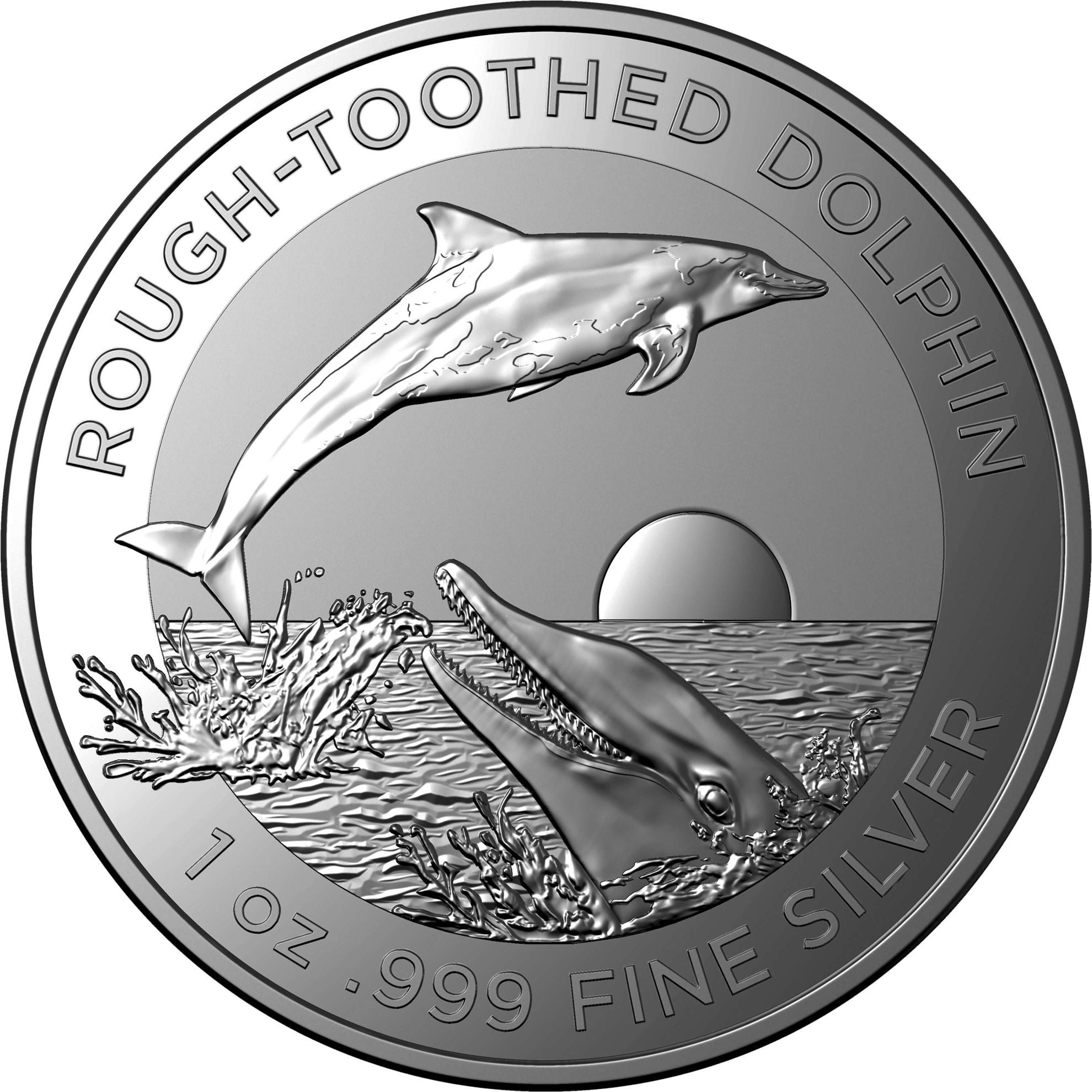 Dolphin coin