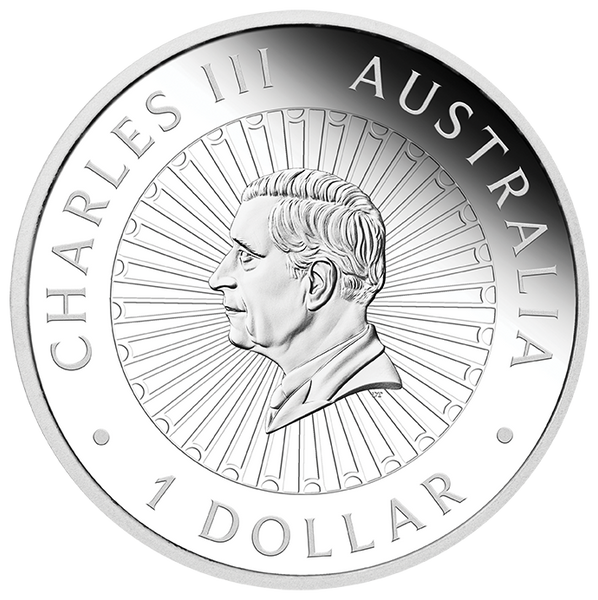 2025 Great Southern Land
1oz Silver Proof Coin with Snakeskin-Jasper Insert