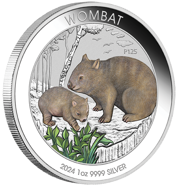 2024 Wombat 1oz Silver Coloured Coin in Card