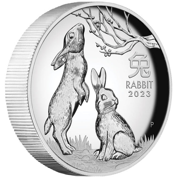 2023-P Year of the Rabbit $1 Silver High Relief Proof Coin PR69DCAM