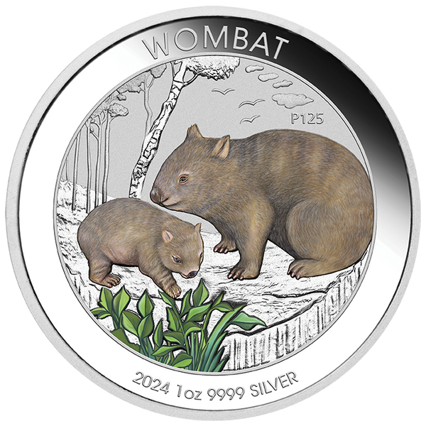 2024 Wombat 1oz Silver Coloured Coin in Card