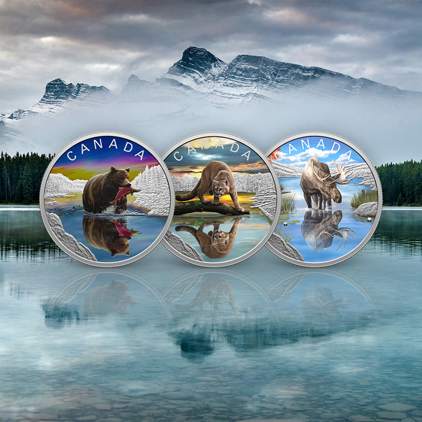 2024 Royal Canadian Mint - Wildlife Reflections: Grizzly Bear 1oz Silver Proof Coloured Coin
