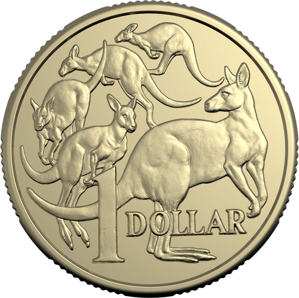 2025 King Charles $1 Royal Australian Mint Roll - Non-Premium (Includes Protective Tube)