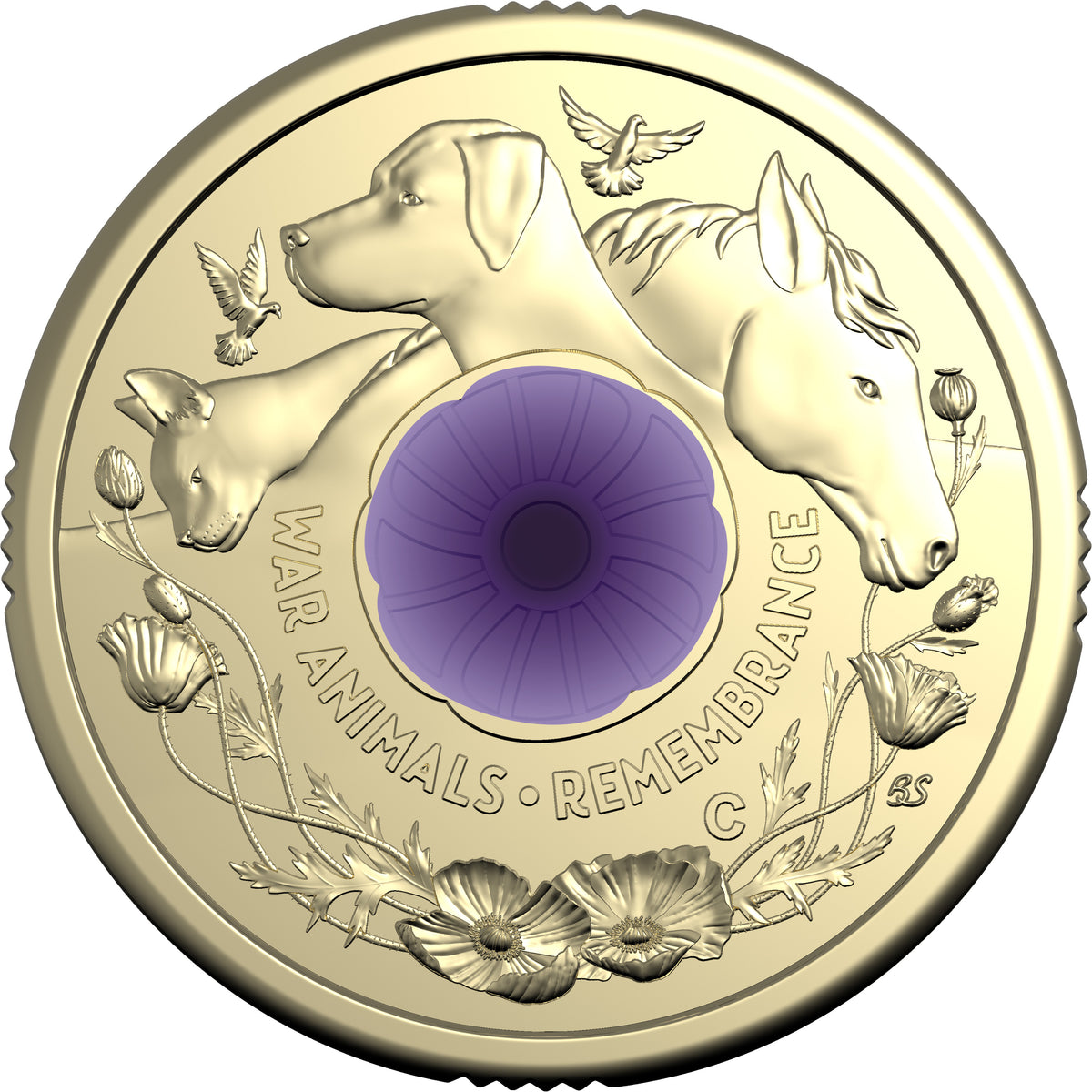 2024 Remembrance Day Purple Poppy 2 C Mintmark Coin Australian 2024-remembrance-day-purple-poppy-2-c-mintmark-coin-australian