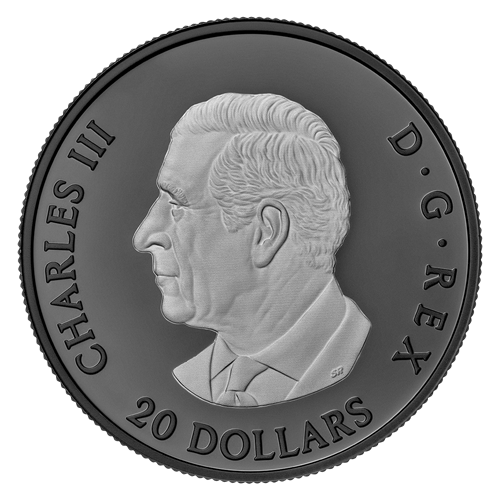 2025 Royal Canadian Mint - Elegant Maple Leaf 1oz Fine Silver Proof Coin