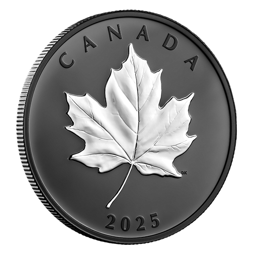 2025 Royal Canadian Mint - Elegant Maple Leaf 1oz Fine Silver Proof Coin