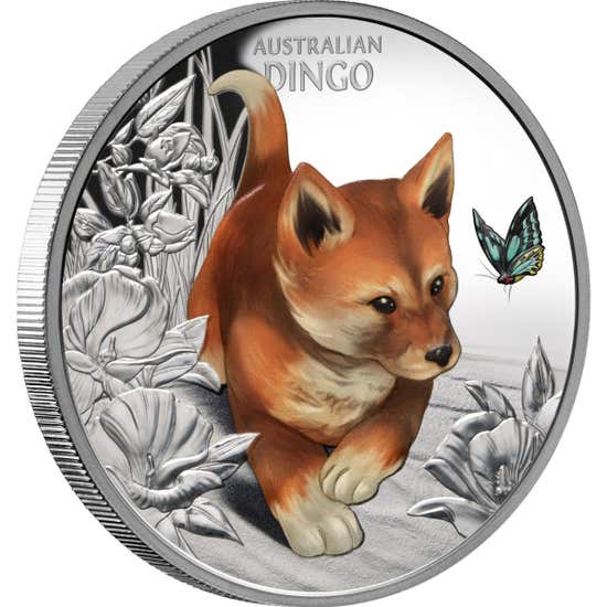2024 Baby Dingo 1oz Silver Coloured Proof Coin