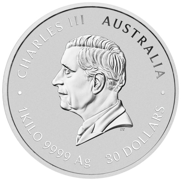2025 Australian Lunar Series III – Year of the Snake 1 kilo Silver Coloured Coin with Gold Privy Mark