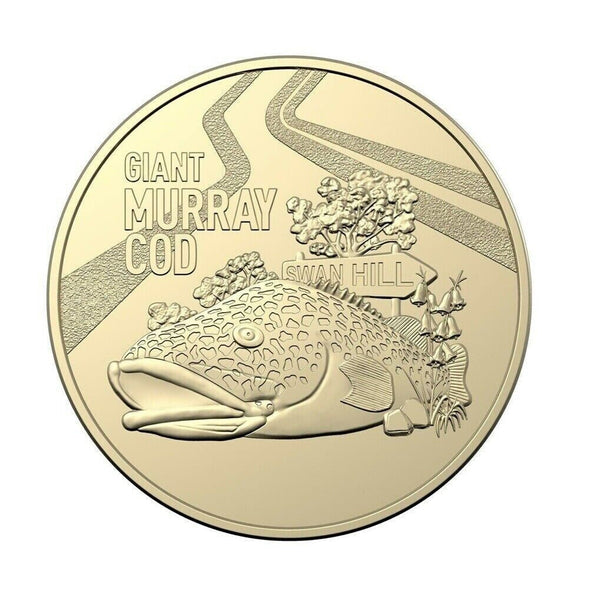 2023 Aussie Big Things 'Giant Murray Cod' $1 Cotton & Co Roll -Includes Protective Tube