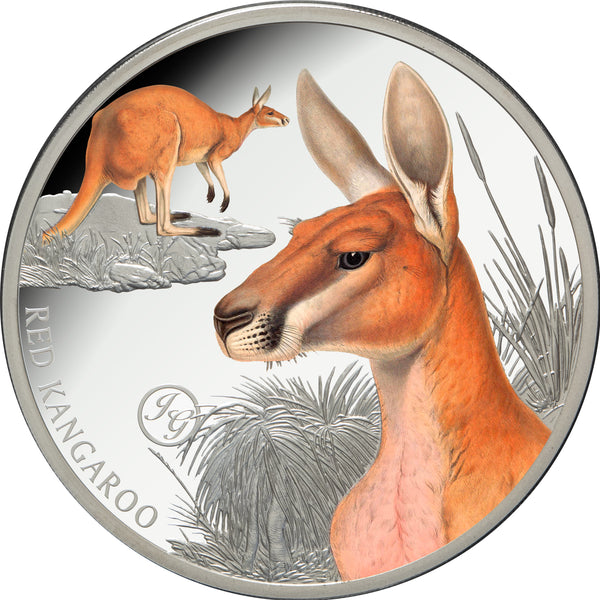 2026 Red Kangaroo 1oz Coloured Silver Proof Coin