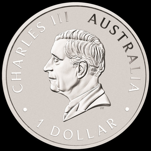 2026 Auatralian Koala 1oz Silver Coloured Coin on Card (Brisbane Money Expo)