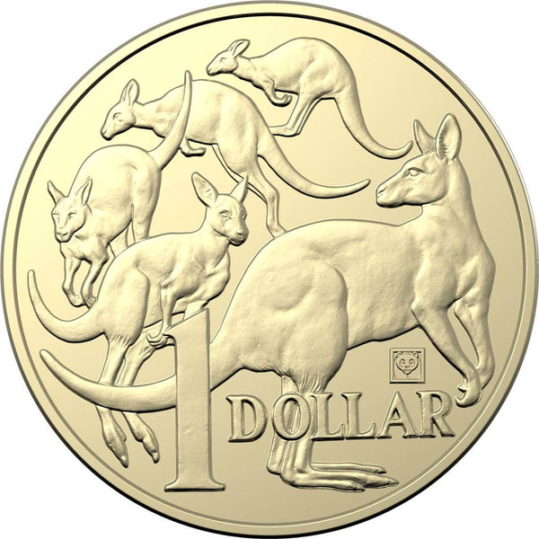 2019 $1 Mob Of Roos - Beijing Panda Privy Unc Coin