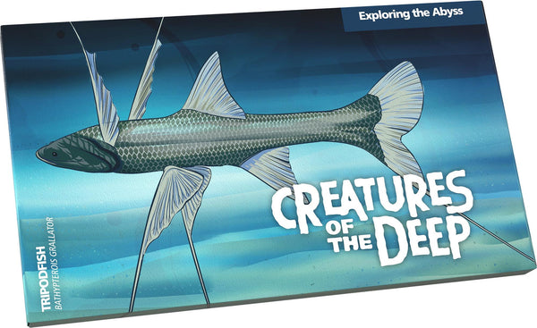 2023 Creatures of the Deep 'Exploring the Abyss' Mintmark & Privy Mark 4 Coin Set