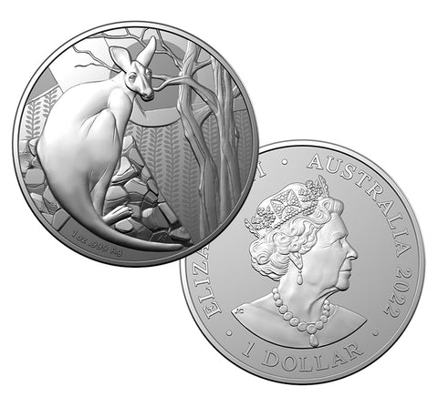 2022 Kangaroo Series $1 1oz Silver Frosted Uncirculated Coin