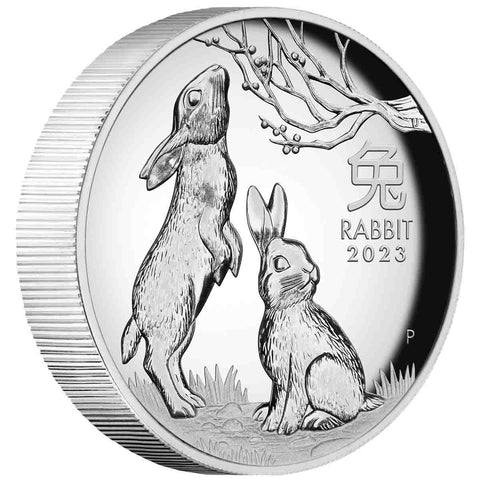 Lunar rabbit silver proof coin