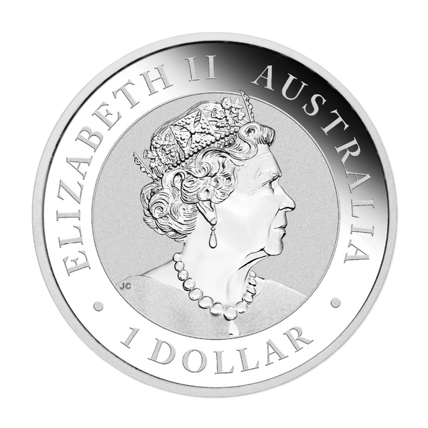 2021 Australian Koala 1oz Silver Coloured Coin Brisbane Money Expo (ANDA)